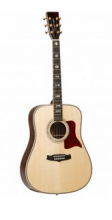 Tanglewood Acoustic Guitar TW1000HSRE