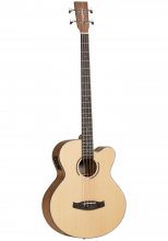 Tanglewood Acoustic Guitar DBT AB