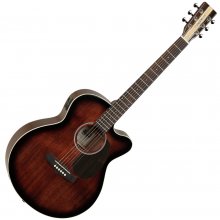 Tanglewood Acoustic Guitar TN5 SF CE AV