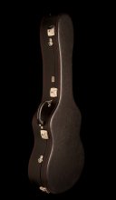 هارد کیس گیتار کلاسیک استیو Esteve Classical Guitar Hard Case