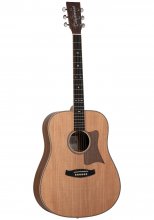 گیتار آکوستیک تنگلوود Tanglewood Acoustic Guitar TRD HR
