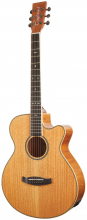 گیتار آکوستیک پیکاپدار تنگلوود Tanglewood Acoustic Guitar TRSF CE FMH