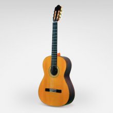 گیتار کلاسیک مات استیو Esteve Classical Guitar 6PS Mate