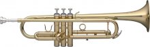 ترومپت استگ Stagg Trumpet WS-TR115