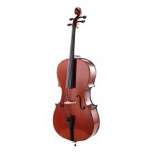 ویولن سل استگ Stagg Violin cello VNC-3/4L