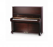 پیانو آکوستیک یانگ چانگ Young Chang Acoustic Piano Y-131N