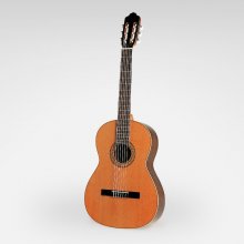 گیتار کلاسیک استیو Esteve Guitar 1
