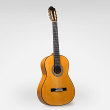 گیتار فلامنکو استیو Esteve Flamenco Guitar 9F