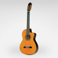 گیتار پیکاپدار استیو  Esteve Cutaway Guitar ELEC