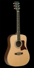Tanglewood Acoustic Guitar TW15-NS