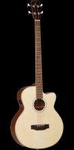 Tanglewood Acoustic Guitar TAB1-CE
