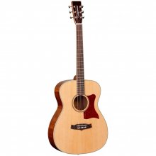 Tanglewood Acoustic Guitar TW70 EG