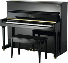 Essex Acoustic Piano EUP-116E